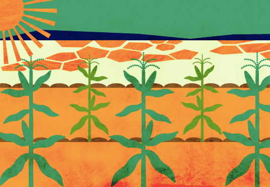 farmingfirst's tweet photo. 75% of Africa's soil is degraded, costing African countries up to 10% of their GDP. Yet, Africa has almost 50% of the world's uncultivated land so restoring health to the continent's degraded soil is vital. https://t.co/H9YtFBtUbH