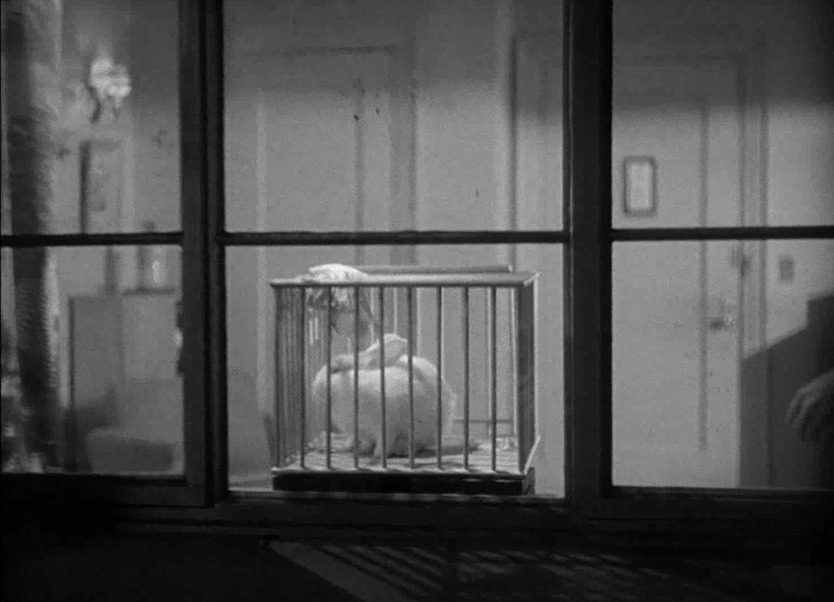 FOURfpf's tweet photo. CITY THAT NEVER SLEEPS
(John H. Auer, 1953)

#Noir #RepublicPictures #RepublicRediscovered #NewYorkCity #FilmNoir #MartinScorsese #CrimeMovies #GigYoung #FourFPF #4fpf https://t.co/EWyvx3OMjv
