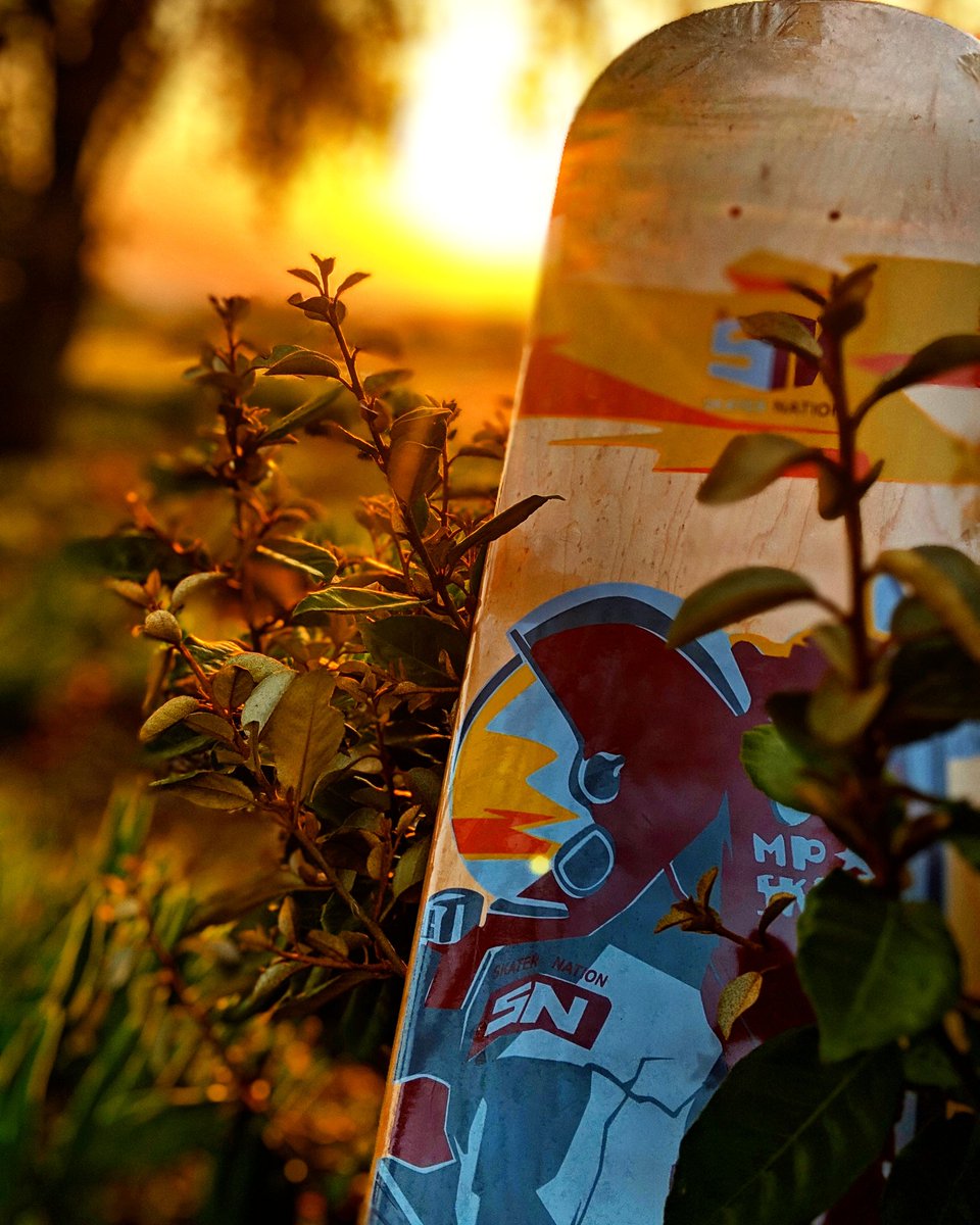 _MrBong's tweet photo. I am so honoured ππ’π₯π―
#SkaterNation X #MpSkate
#SpaceShredder
Got merch for sale!!!
#ThankYouSkateboarding
Sunset views from a sunset view https://t.co/oSuORlERdU
