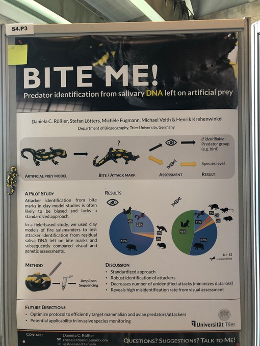 ESEB2019 tweet media