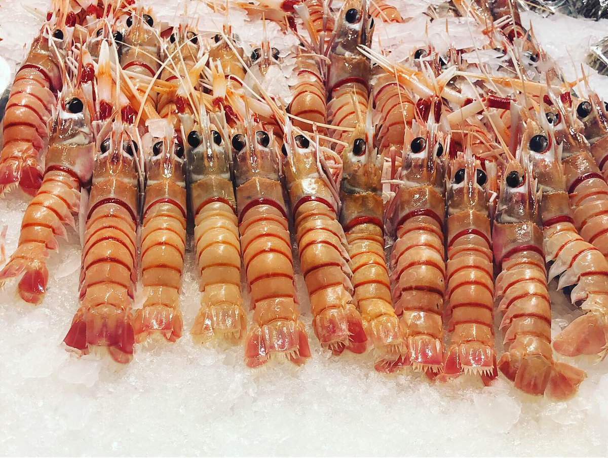 LeniqueUNSW's tweet photo. Visit the Sydney Fish Market if you haven’t! They really make an effort to form a sustainable relationship with the sea - plus you can get good food &amp; support local fishers! Read more about their missions at the link https://t.co/y1rJiboCqI #marenvs19 https://t.co/BLpEWUKFDD