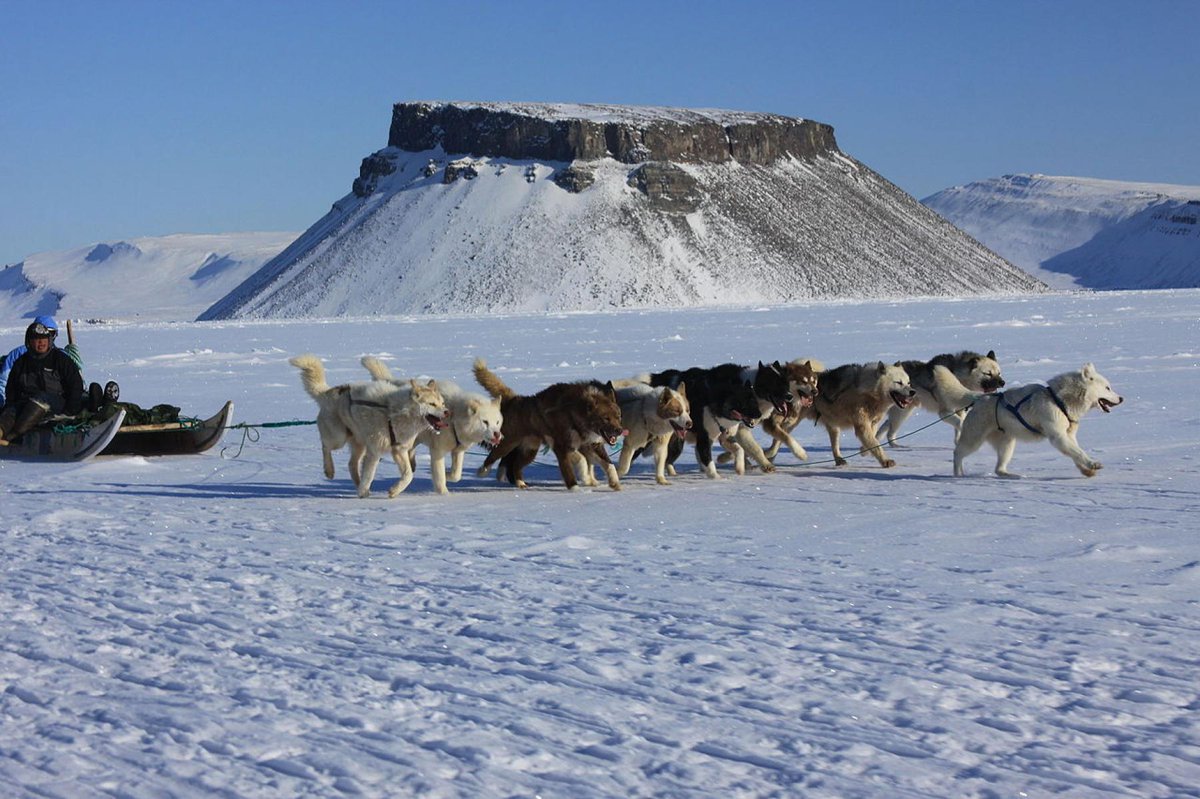 3PlayGrounds's tweet photo. Featured trip: Grenland! Northern lights, glaciers, igloos, and dog sleds - join us for a true winter experience https://t.co/0zUza64He4
 #greenland #adventure #3playgrounds https://t.co/5w99GL130Y