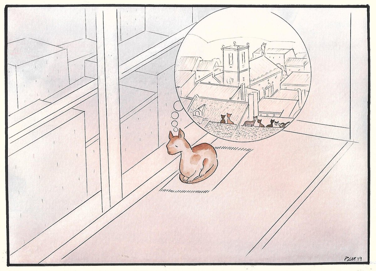 pacocatt's tweet photo. Mi viñeta de hoy viernes 30 de agosto de 2019.
"Me quieren muchísimo y puede que adopten a otro gato para que sea mi amigo". Si fuéramos dos...comeríamos... dormiríamos...jugaríamos juntos y seríamos más felices. https://t.co/TXJeM12OB8
