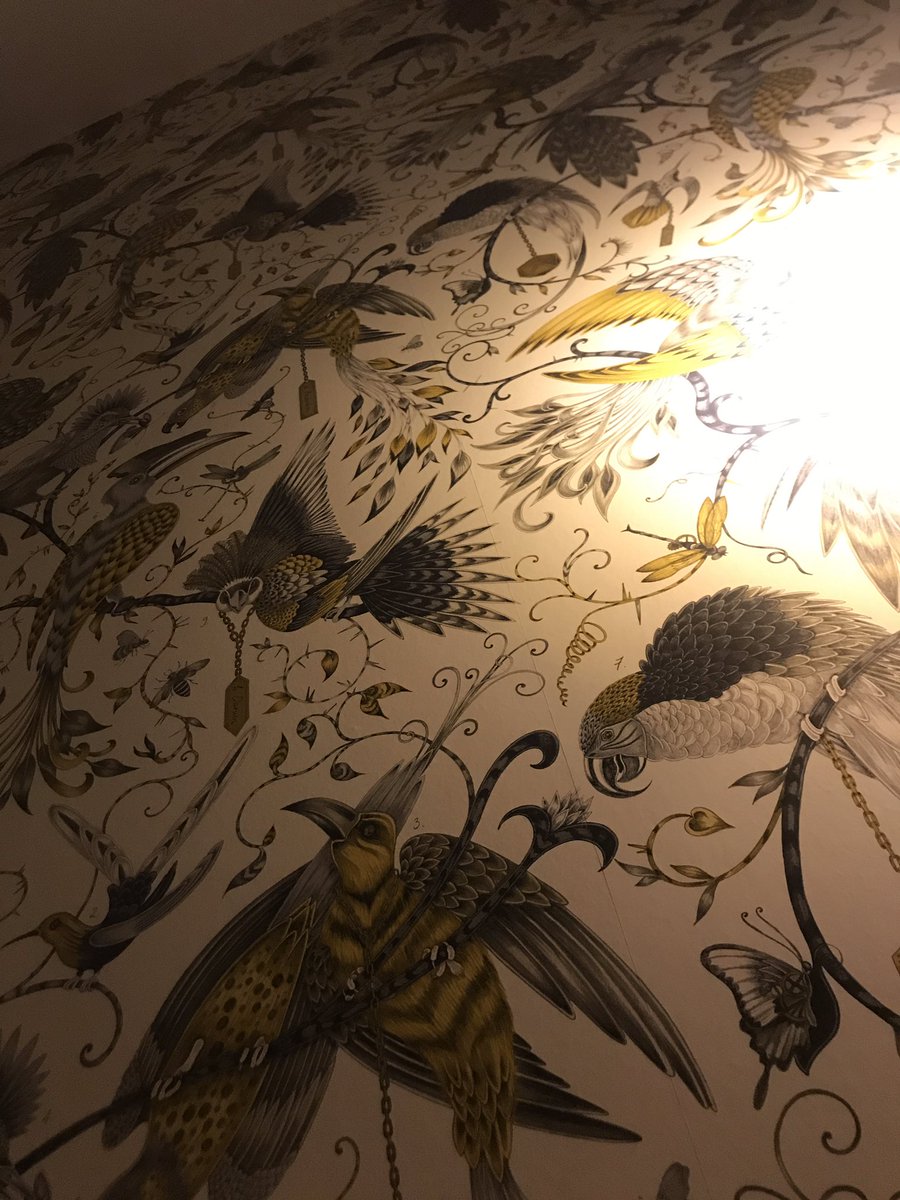 華 Sur Twitter ホテルの部屋の壁紙 鳥の目が怖い ぱっと見はかわいい