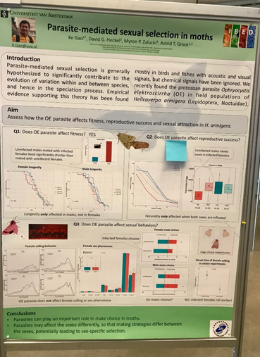 ESEB2019 tweet media