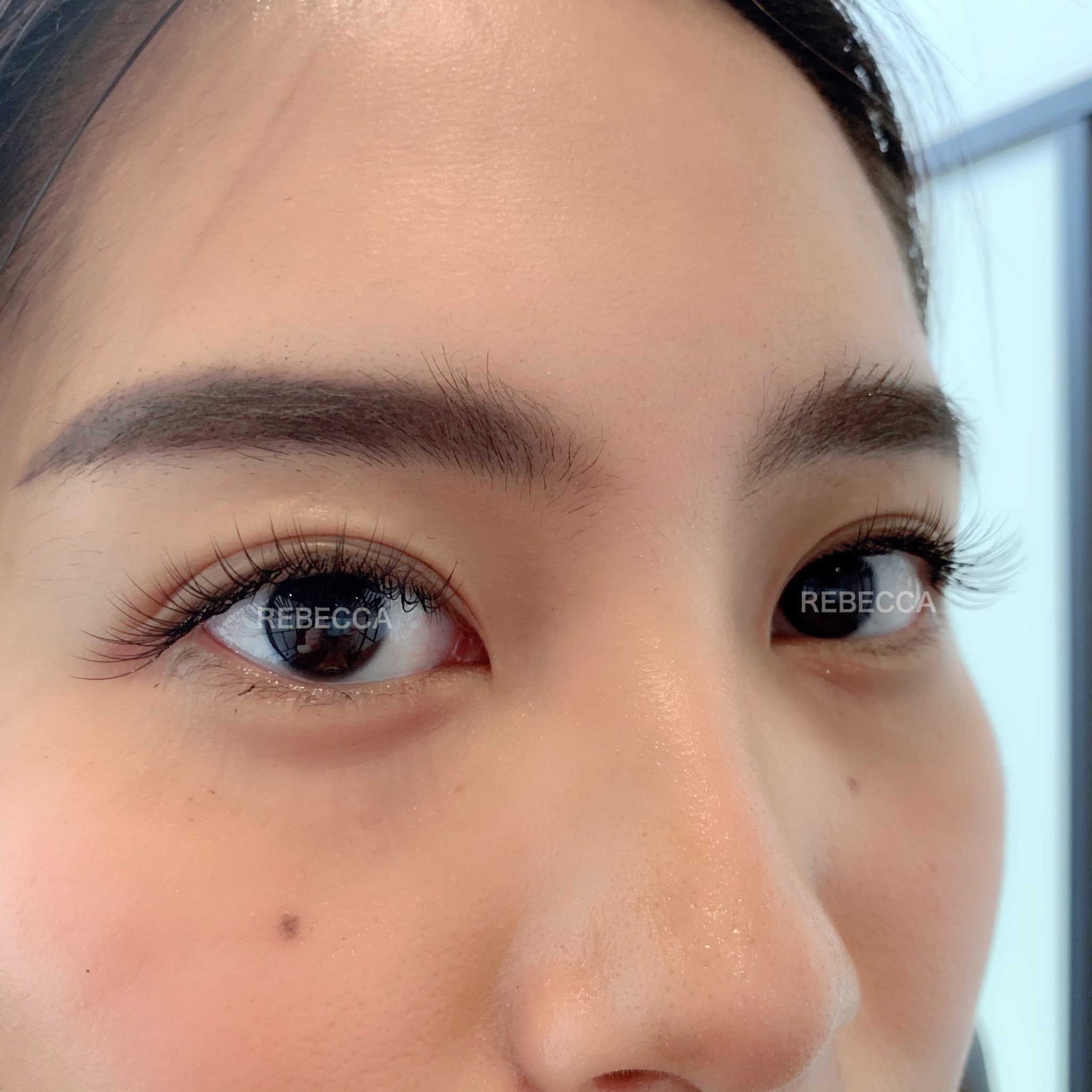 Rebecca Eye Lash Rebeccalash Twitter