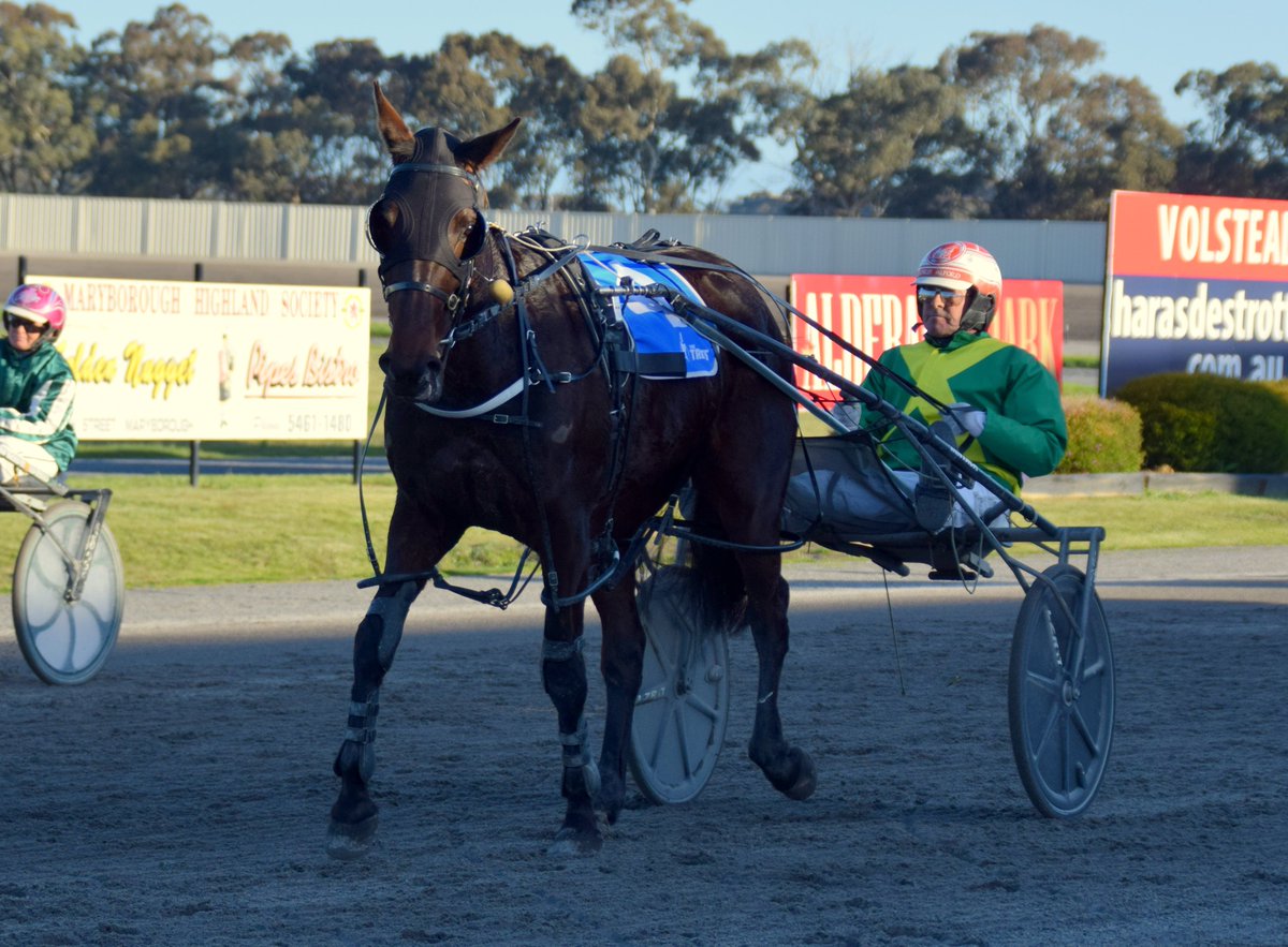 HarnessBreeders's tweet photo. MISSUS MATILDA (#LiveOrDie x Andrewa Hayley x #BeyondComparison)
#Humbo19 winner at Maryborough
Bred by Graeme Dalton
#PaysToBeVicbred https://t.co/3VCNdMjePU