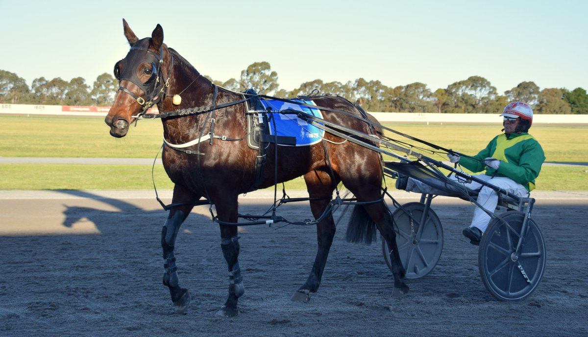 HarnessBreeders's tweet photo. MISSUS MATILDA (#LiveOrDie x Andrewa Hayley x #BeyondComparison)
#Humbo19 winner at Maryborough
Bred by Graeme Dalton
#PaysToBeVicbred https://t.co/3VCNdMjePU