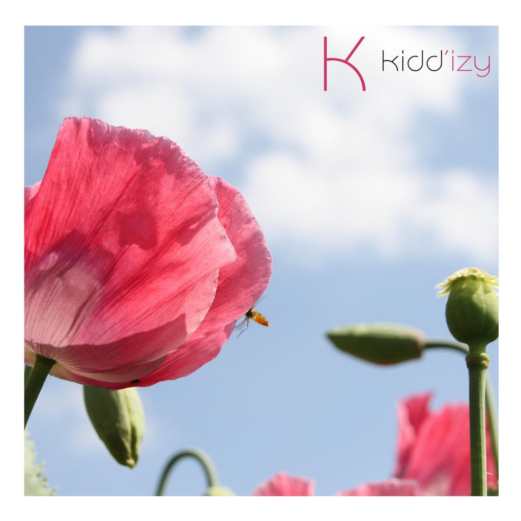 [ 🌸LES FLEURS DE BACH ET LA RELAXATION PAR KIDD'IZY💆‍♀️] 
➡️ info.kiddizy.com/bien-etre-2/sa…
Pour profiter pleinement des bienfaits de la relaxation et des fleurs de Bach, il est possible d'associer les deux dans une approche innovante🧐

#fleurdebach #relaxation #innovation #parents