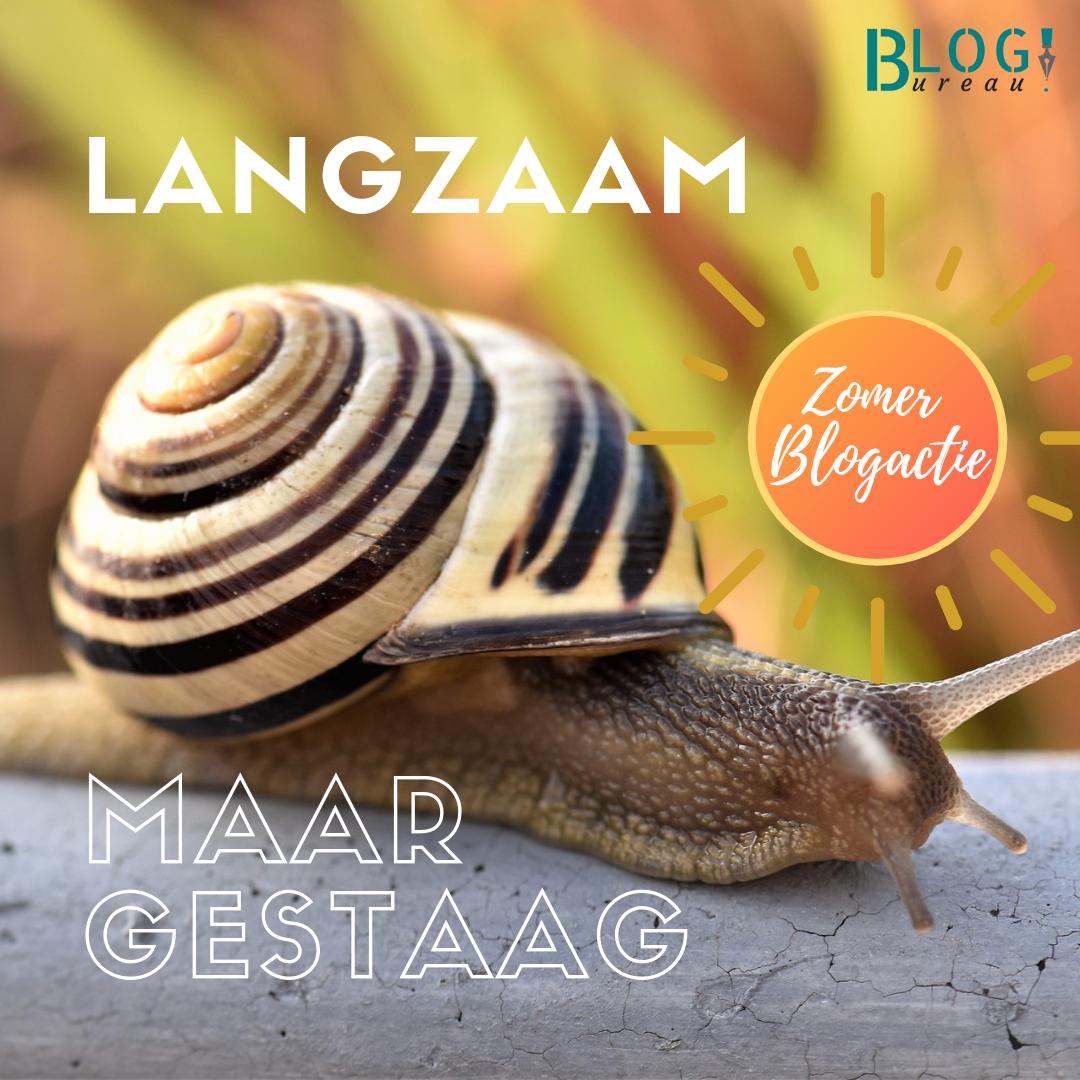HelmaFolman's tweet photo. 7. Langzaam maar gestaag 
Je hoeft niet dagelijks te bloggen om online zichtbaar te worden met je onderneming. Het gaat erom dat je relevante content deelt, voorzien van jouw persoonlijke ‘sausje’.
Aanmelden kan hier: https://t.co/VXtvypc1VF
#bloggen #blogworkshop #doetinchem https://t.co/HBd7pOgoaP