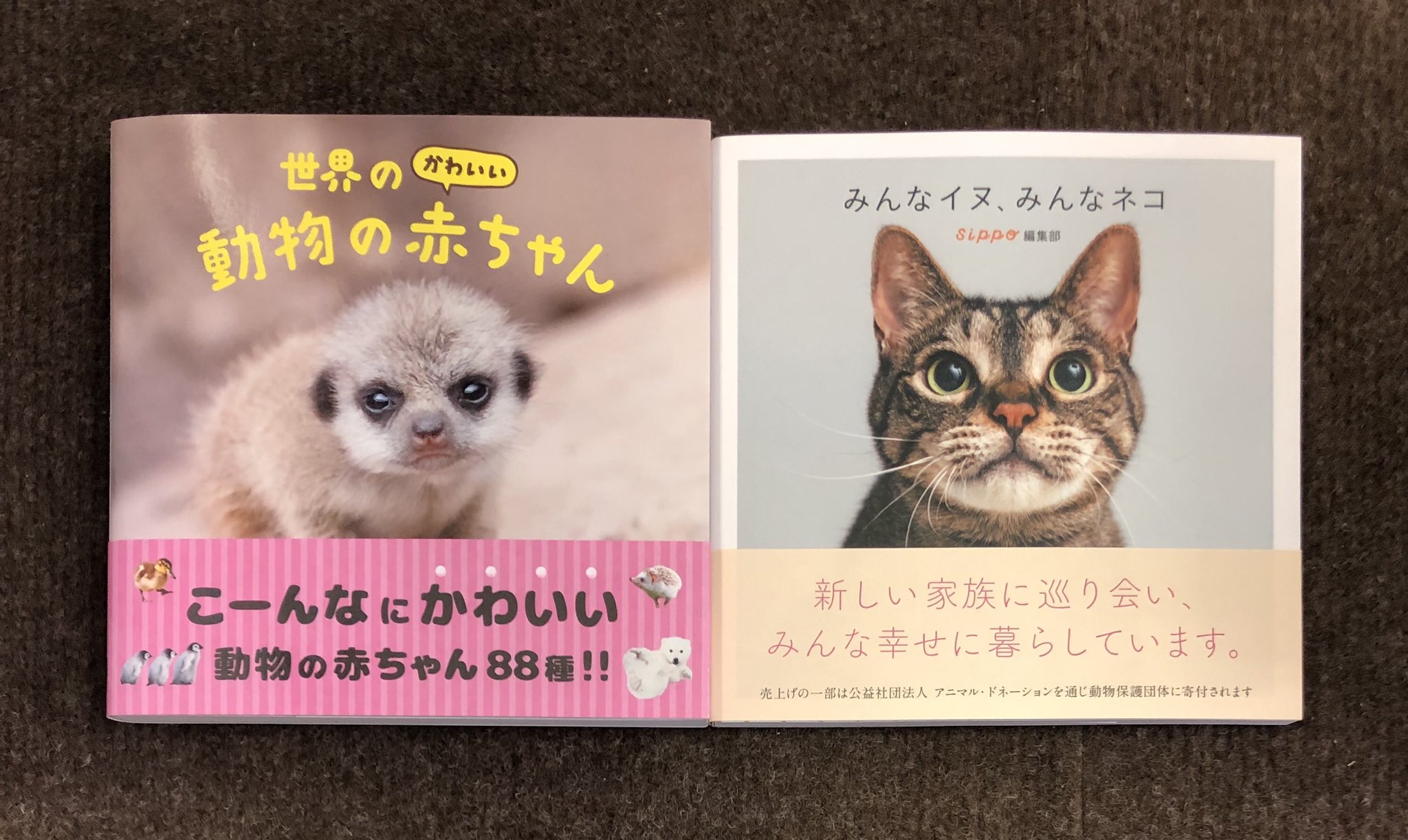 ときわ書房志津ステーションビル店 世界のかわいい動物の赤ちゃん みんなイヌ みんなネコ パイインターナショナル 志津に入荷してます