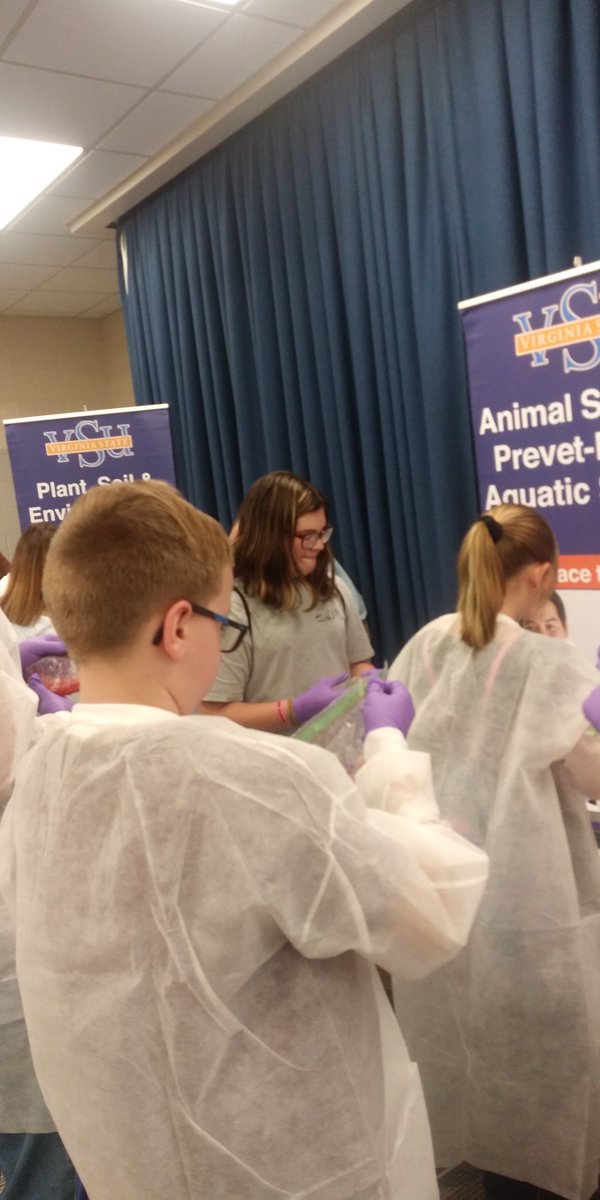 VSUGeneHunter's tweet photo. Young minds are festering in Agricultural Biotechnology at Agfest in @VSU_AG. Having fun extracting DNA from strawberries in 5 minutes!!!! https://t.co/c2JW5z9ZvZ