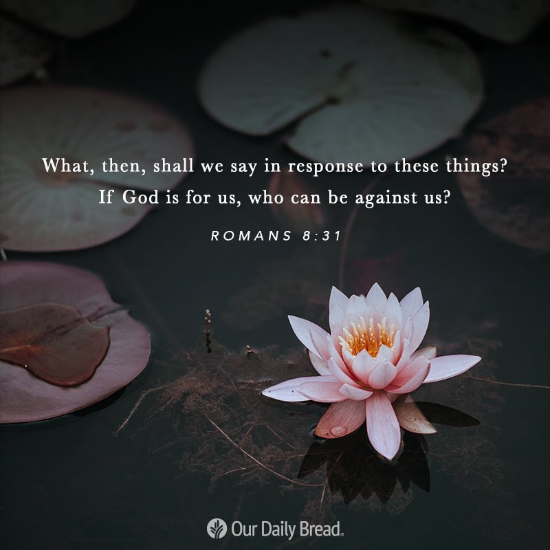 HisChild77777's tweet photo. What then, shall we say in response to these things?
If God is for us, who can be against us?

Romans 8:31 https://t.co/7mbFMq6gNM