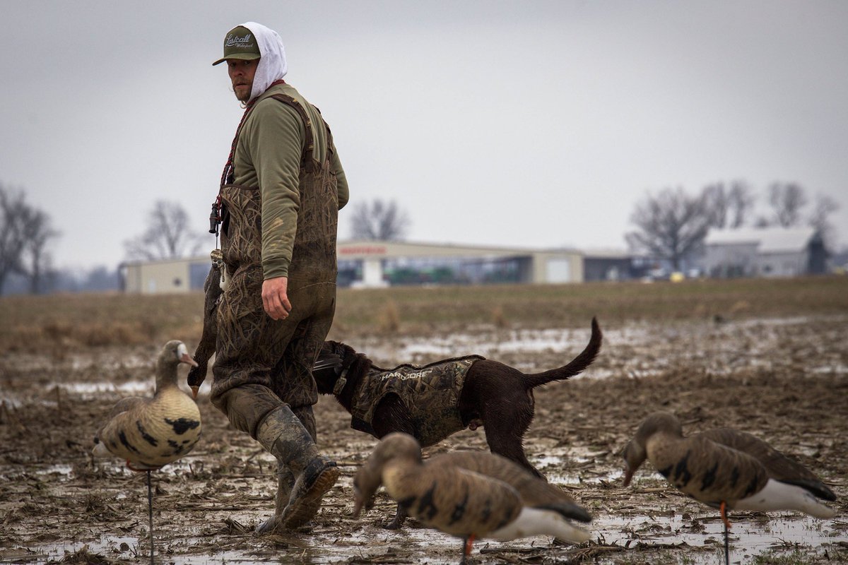 LCWaterfowl's tweet photo. Happy Friday Y’all !! Who’s ready for this long weekend and September 1st ?!?!
Photo credit 📸 @rdeborde_
.
.
#lastcallwaterfowl #lcwoutdoormedia #hunting #birddog #waterfowl #waterfowlhunting #waterfowlphotography #goosehunting #specklebelly https://t.co/X63YH0oJ39
