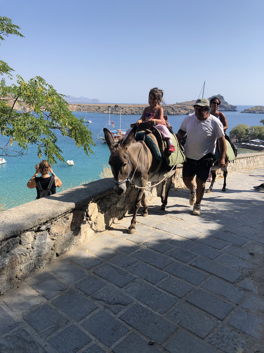 M_J_Griffiths's tweet photo. Checked out Lindos today. Dates back to 4000 BC.....that’s older than some of my jokes (but sadly not all of them). #lindos #rhodes #greece #donkeys #acropolis #whitewash #holiday https://t.co/DogHGL1O1B