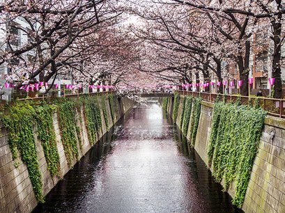 LodgerTravel's tweet photo. Tokyo's Best Neighborhoods and Districts! https://t.co/itcw11AJZu #travel #wanderlust #traveltips https://t.co/4ixJ0WAF8h