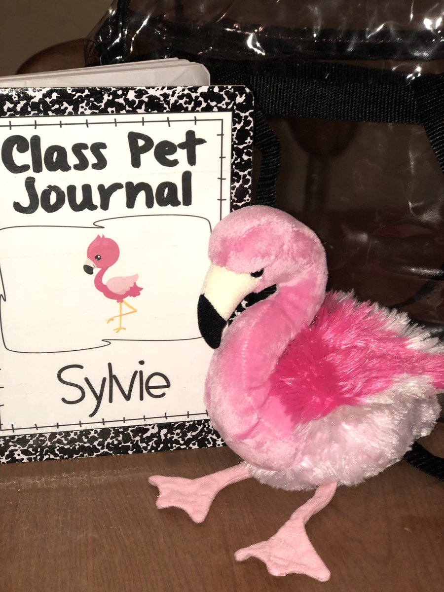 ABuckeyeAtHeart's tweet photo. Sylvie the Flamingo is all ready to join our class today! Our #classpet will go home for 2days through the yr w/a student, theyโll write about their adventures & share upon return! #FosterWriting #kindergarten #fosterliteracy #youngauthors @hisdaims @HISDChoice https://t.co/sZDRVKGLNf