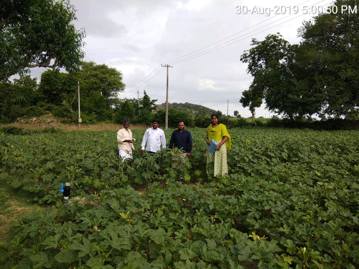 DH&SO, Mahabubnagar tweet media