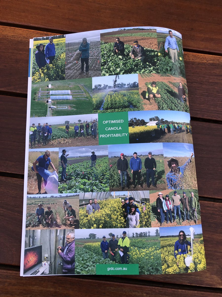 Building on the popularity of 10 Tips to Early Sown canola is 20 Tips for Profitable Canola - get to a Canola OCP Roadshow to pick up your copy bit.ly/CanolaRoadshow