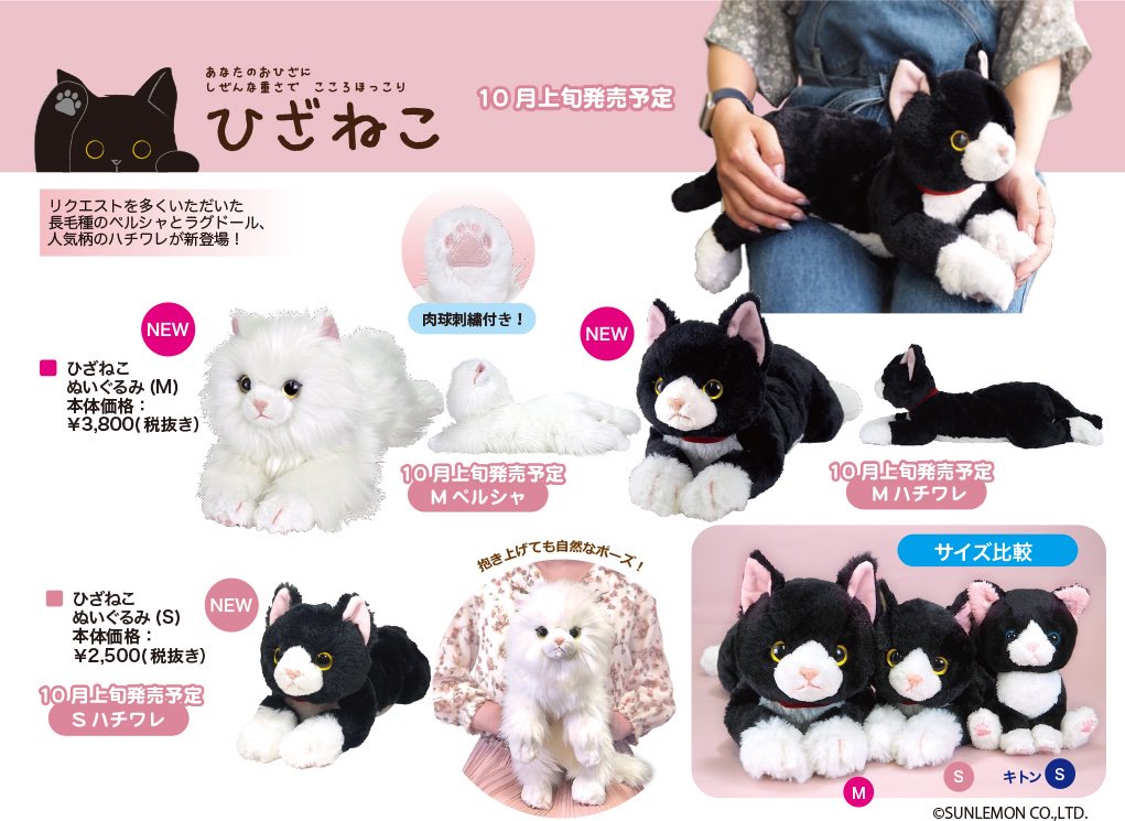 サンレモン 10月上旬にひざねこmサイズ ペルシャ ハチワレ Sサイズハチワレが新登場いたします 開発にかなり時間がかかった長毛種がついに 現時点で販売店が確定しておりませんので お問い合わせにつきましては発売予定の10月上旬以降にいただけますと