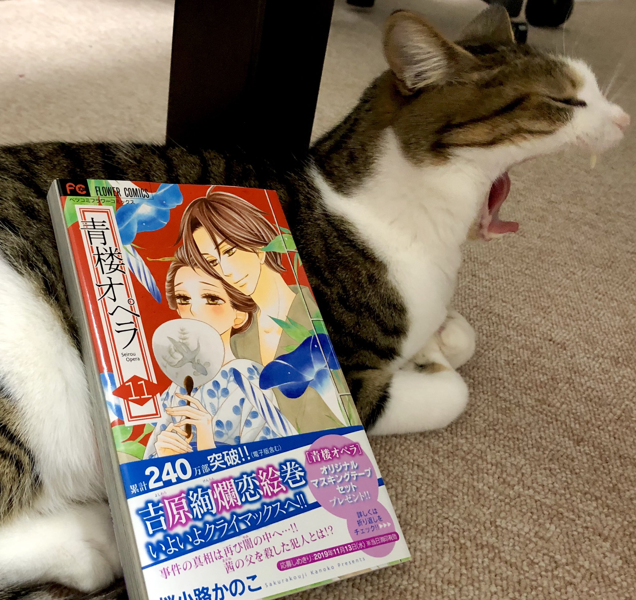 桜小路かのこ Auf Twitter Fc最新刊 青楼オペラ １１巻 紙 電子版ともに発売中です どうぞよろしくお願いします