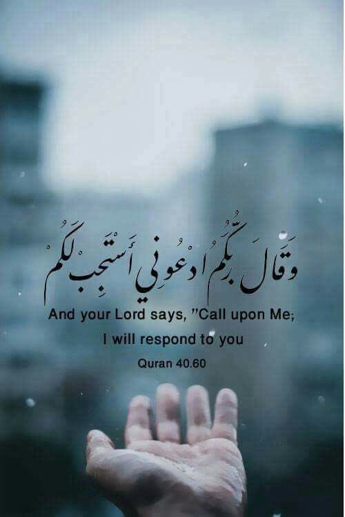 quransaying's tweet photo. https://t.co/TFvUPeiFkG