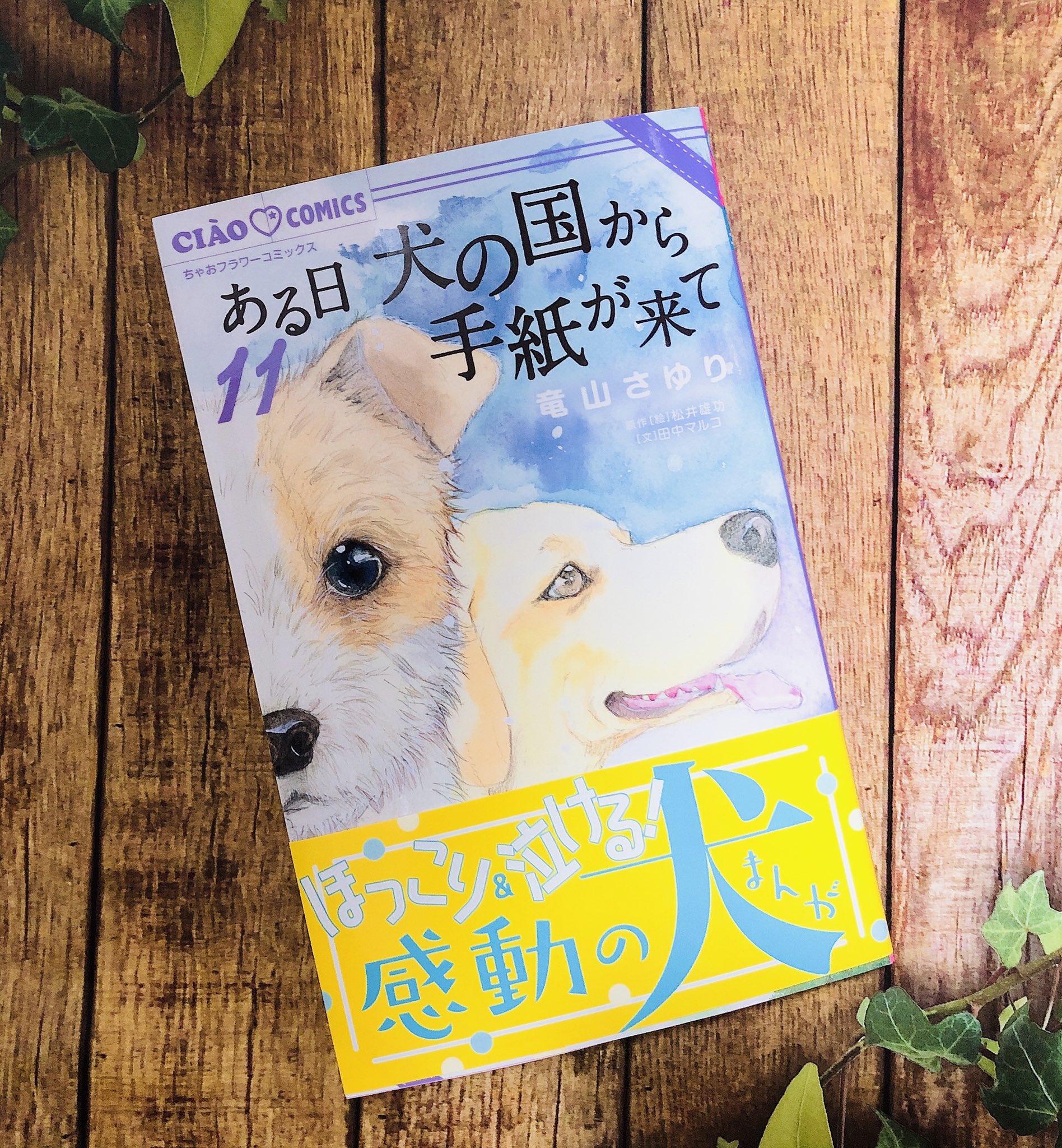 ちゃお編集部 竜山さゆり 先生 ある日犬の国から手紙が来て 巻 大人気シリーズ最新刊 かわいくて健気な犬と飼い主の感動ストーリーが5本収録 ﾟ Pwq ﾟ 初めて 犬の国 を読む人にもおすすめ 涙なしでは見られない1冊です