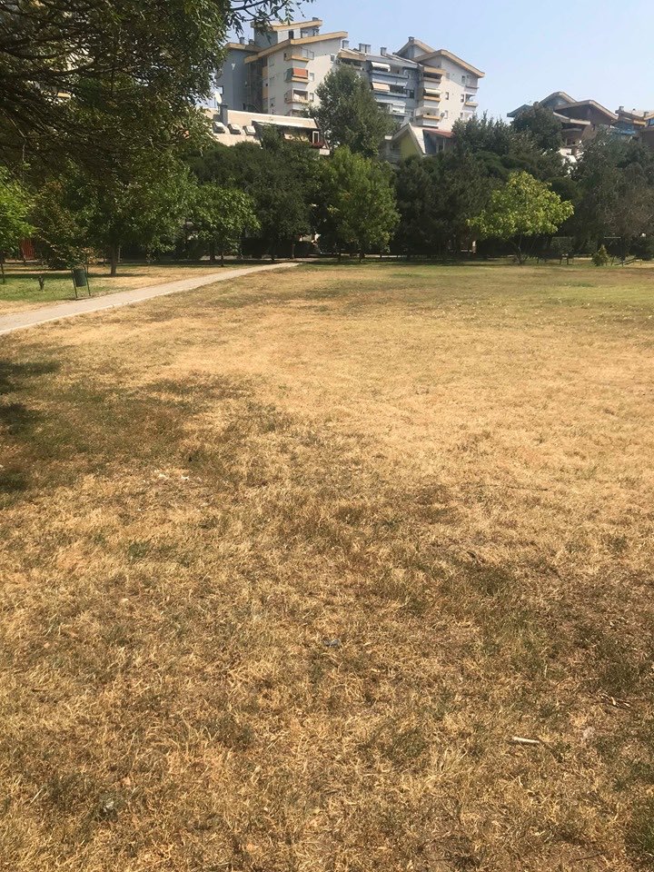 igor_pavleski's tweet photo. Парковите во Скопје.
На секој ќош никнаа згради, сосема мал дел остана зелена пов��шина, без да се одржуваат, никаква грижа ни за наводнување, ни за посадување нови дрвца, нови зелени површини.
Се прашувам, дали ова е една од мерките на град Скопје во борбата против загадувањето. https://t.co/gdrQZDcefY