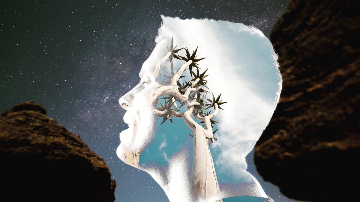 Jaco Pieterse tweet media