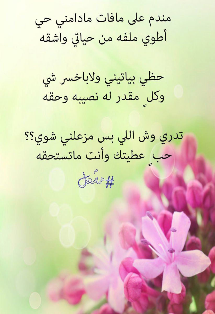 مساؤكم سعادة 🌹🌹