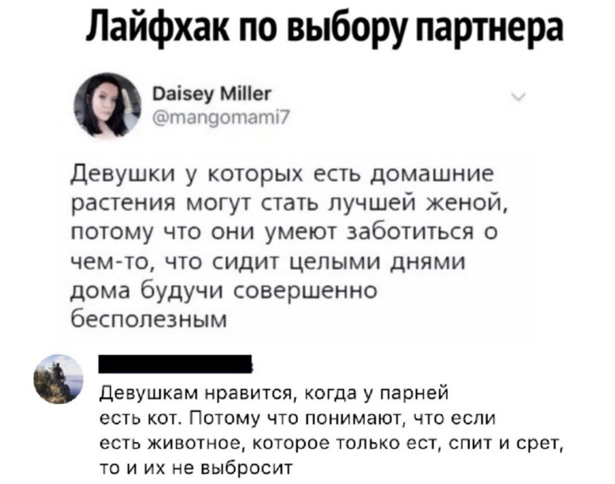 EDNXAyiW4AAXL7J?format=jpg&name=large