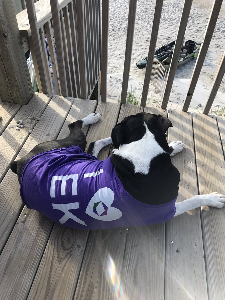 CarlaRNelson's tweet photo. Last day of family vacation in Topsail, NC! Forgot my #EKHat but remembered everything else! @EKConsulting https://t.co/w9xaht645d