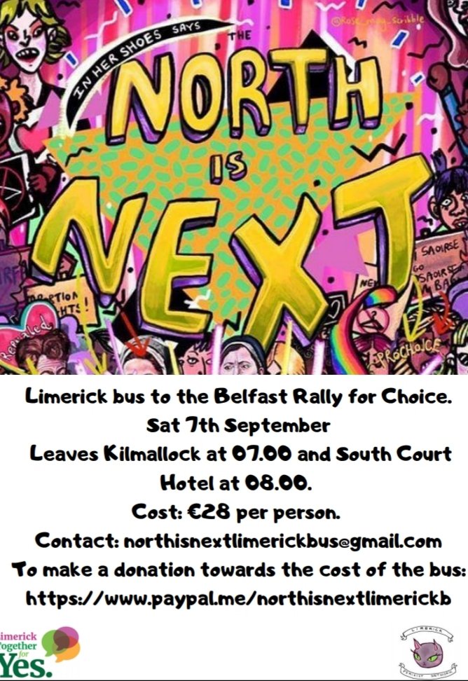 Limerick Feminist Network tweet media