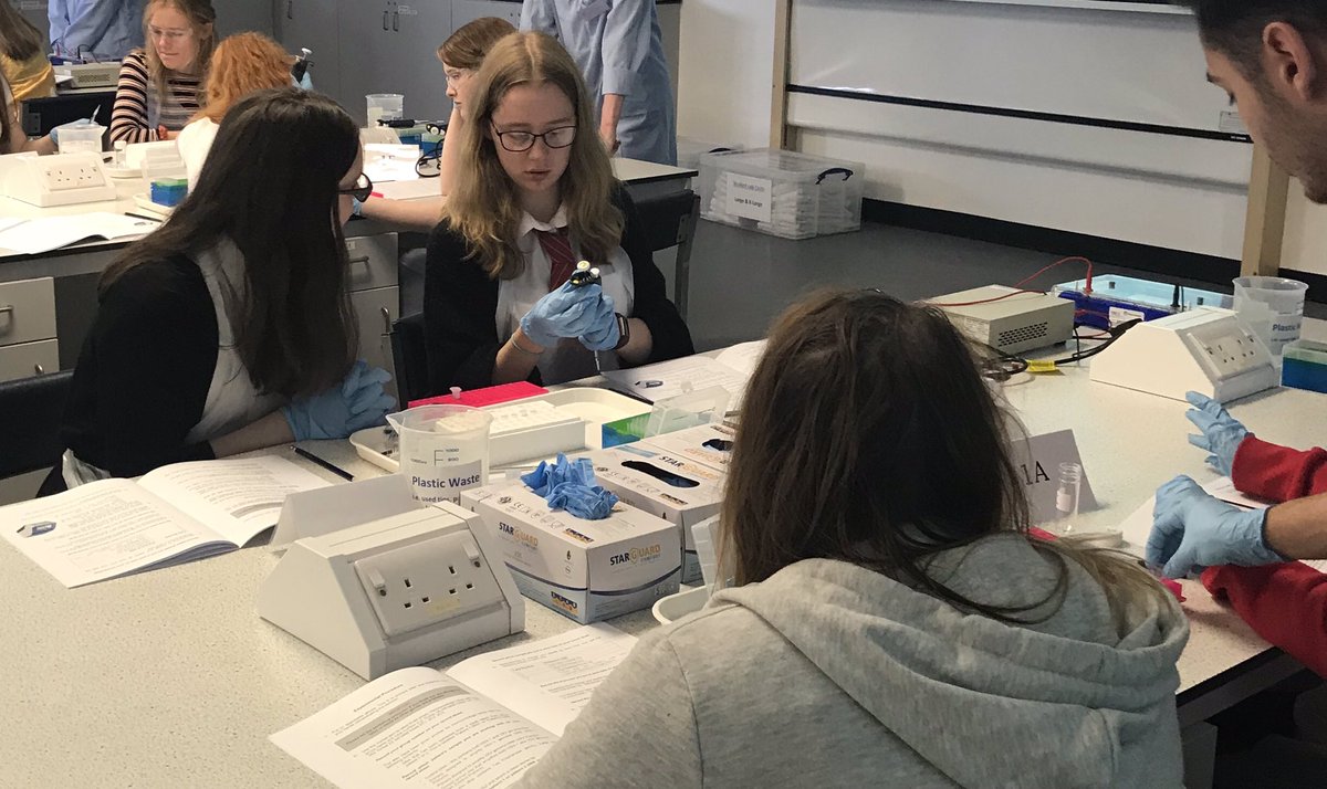 KinlochlevenH's tweet image. Higher Biology S5&amp;amp;6 pupils from Kinlochleven and Ardnamurchan at Glasgow Uni today at DNA Workshop  @UofGlasgow @gsc1 @STEMscotland Fantastic opportunity! Thank you! #highlandsmallschools #workingtogether