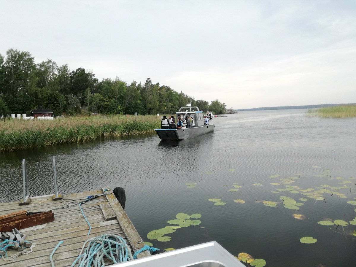 PROGNOS_project tweet media