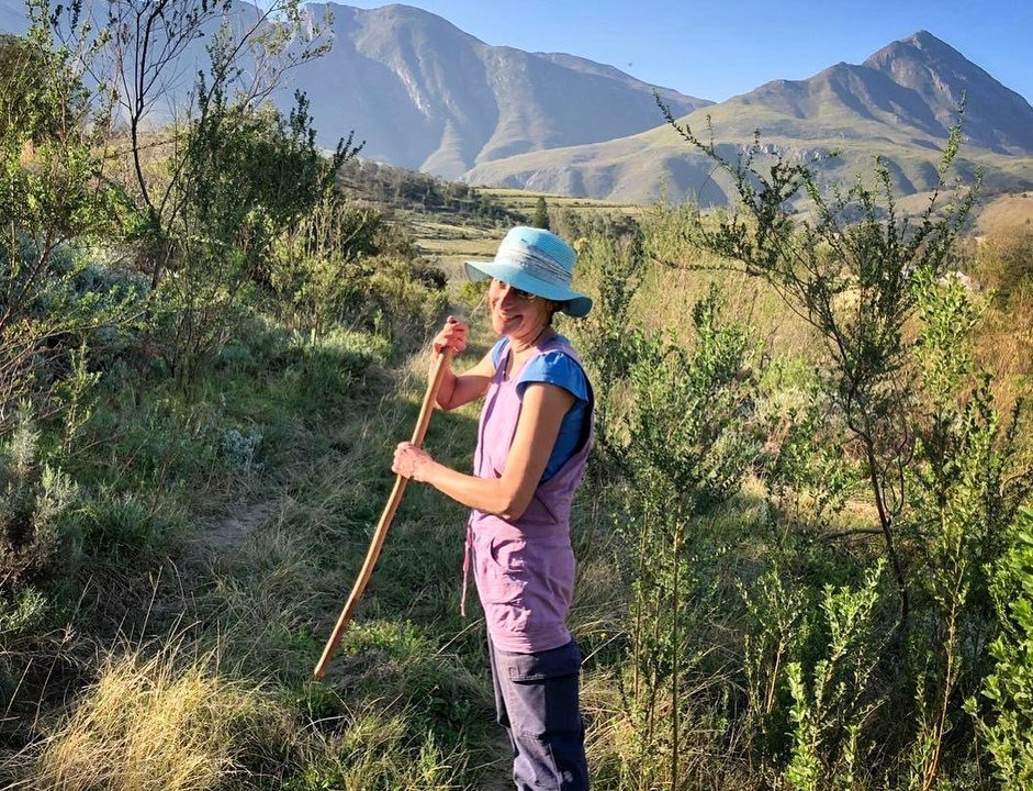 SwellendamS's tweet photo. We have another workshop to highlight and celebrate! 
The Pragmatic Art of Growing Organic Vegetables with expert permaculturist Wendy Crawford.  
#swellendamwinterschool #winterschool #pragmaticartofvegetablegrowing #vegetablegrowing
#growyourownfood https://t.co/rVvZaYFvuU