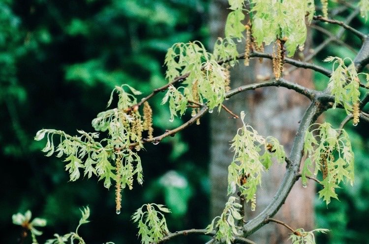 SwellendamS's tweet photo. Keep your eyes and ears on our website for SWS 2020 workshop dates to be launched soon. 
https://t.co/Oayxkha4Ej
Images was taken by Atelier
Atelier Design Studio, Swellendam.
https://t.co/QqWe4LlQrp
Atelier 028 514 1429
#swellendamwinterschool # Swellendam Tourism  #workshops https://t.co/VIk6xco52E