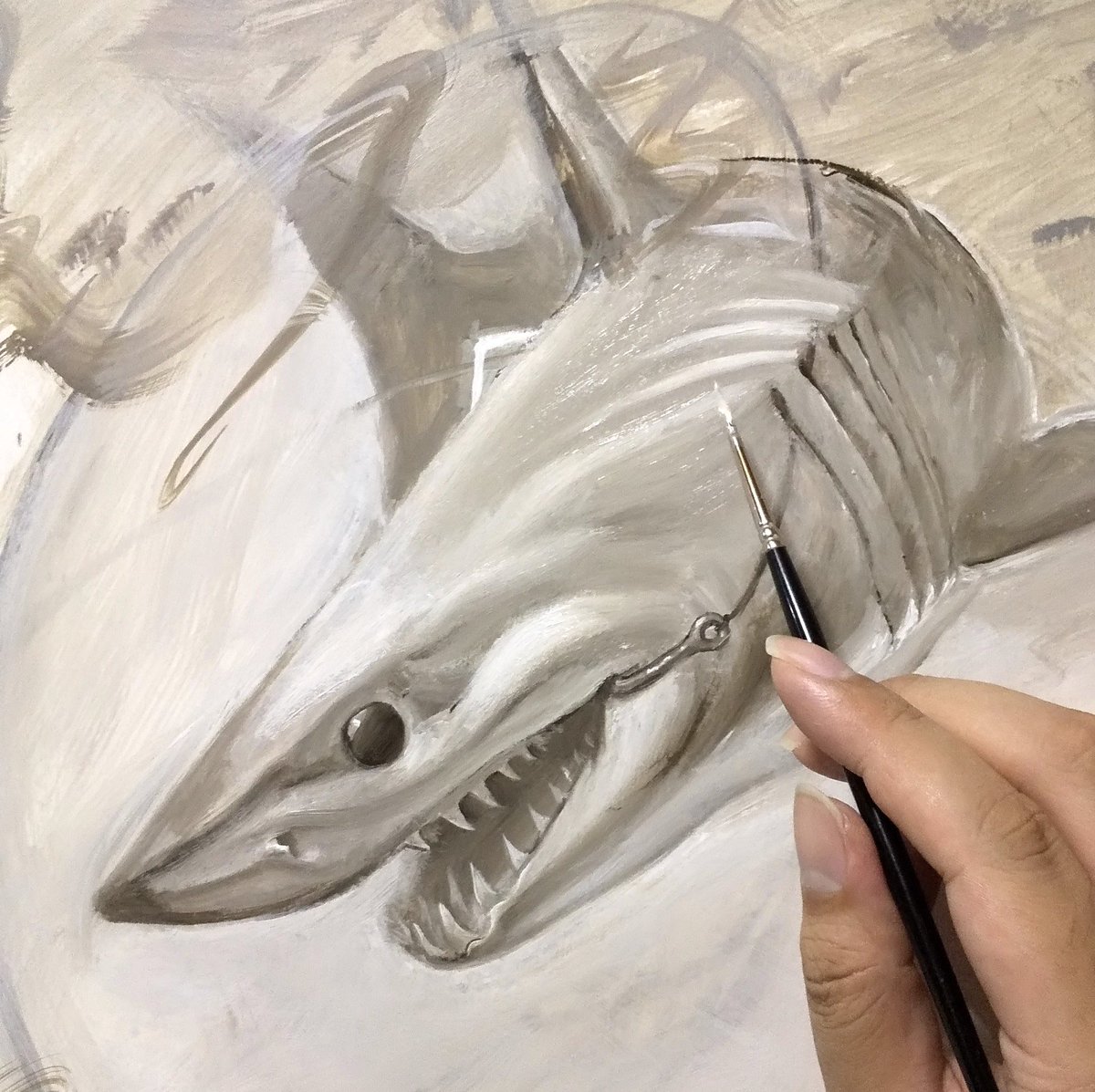 サメ田氏 בטוויטר サメをリアルに描くのであれば 外鰓軟骨がポイントです デッサンの基本は表面でなく構造を描く