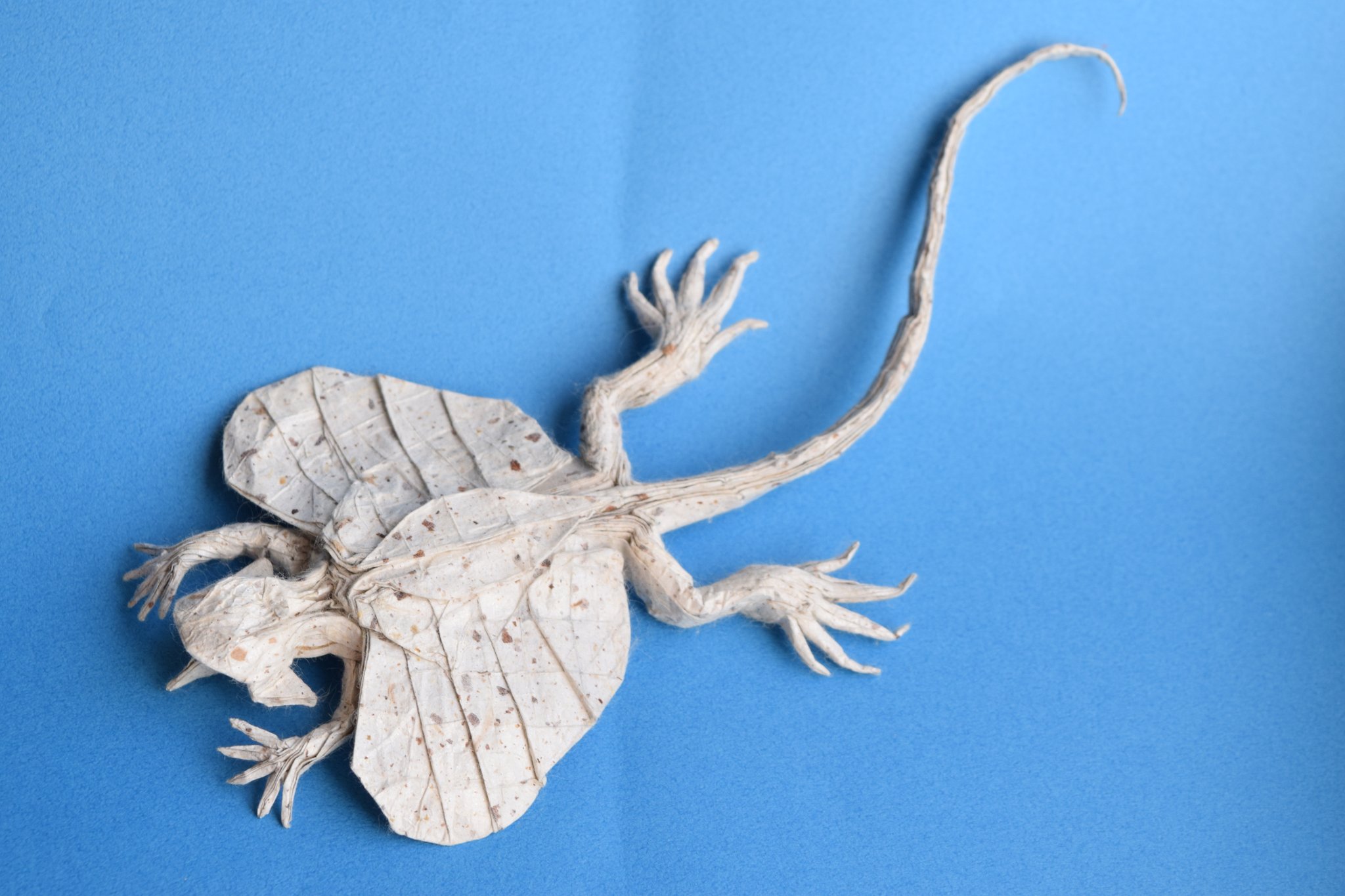 OrigamiPete on X: 