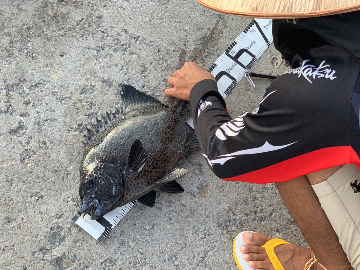 魚釣り隊 Sakanaturitai6 Twitter 魚釣り隊 Sakanaturitai6 Twitter