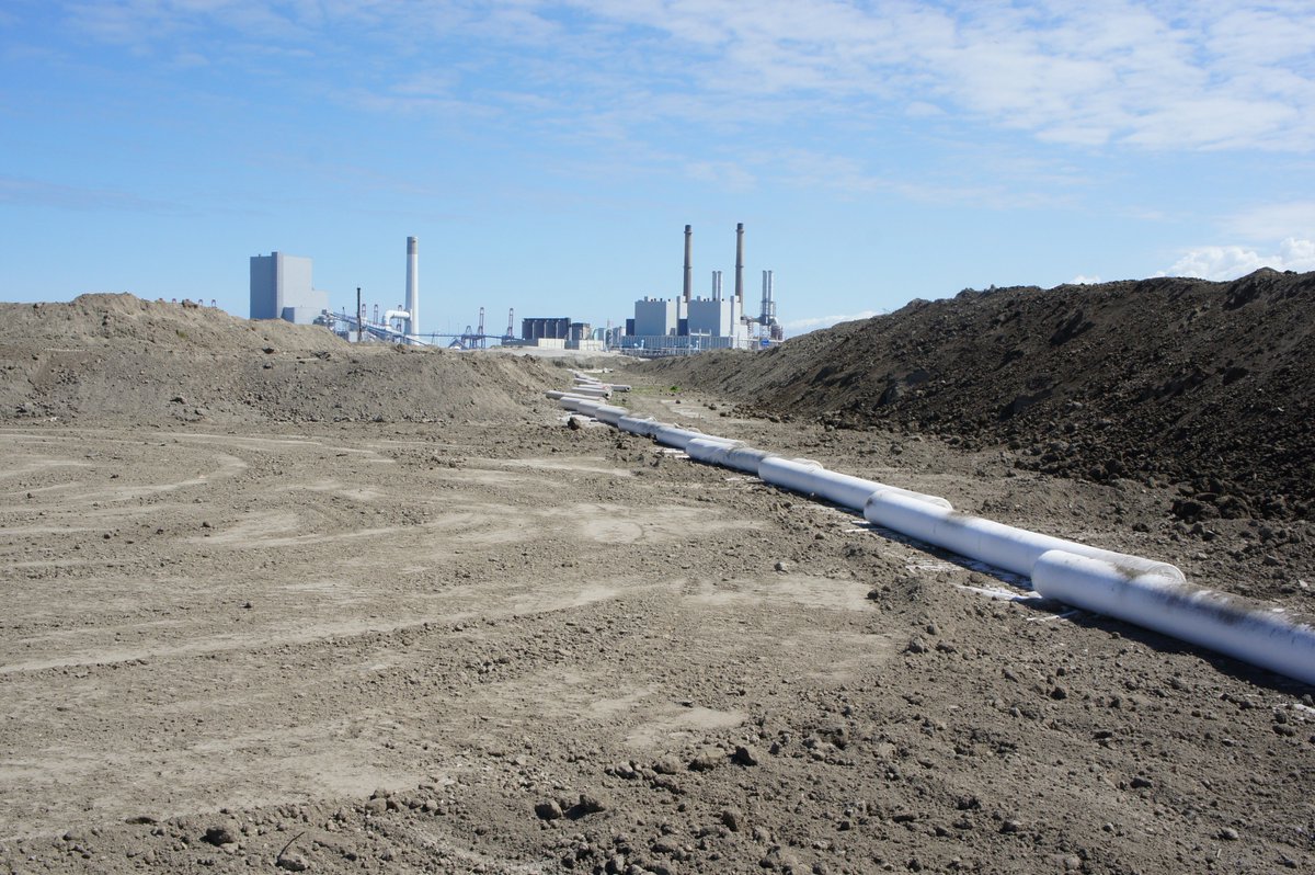 PROJECT T&amp;F INPAKKEN JAPANSE DUIZENDKNOOP> #Maasvlakte Rotterdam: depot van 60.000 m² aangelegd voor het opslaan en afdekken van de wortelstokken van de #JAPANSEDUIZENDKNOOP. Het depot is volledig beschermd met een speciaal #Bontec #NonWoven. Meer info: t-f.nl/portfolio-item…
