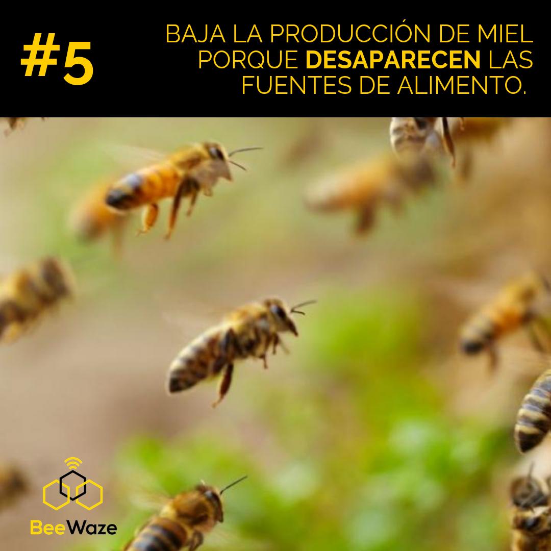 Beewaze2's tweet photo. Menos flores apenas ayudan a las 🐝 a comer debiendo recurrir a ls reservas de miel, incluso muchas mueren de hambre porque la comida no alcanza. Ante esto, baja la cantidad de 🐝 productoras y pecoreadoras. #beewaze #iot #apicultura #bee #miel #polinizacion https://t.co/lCNaGfncg2