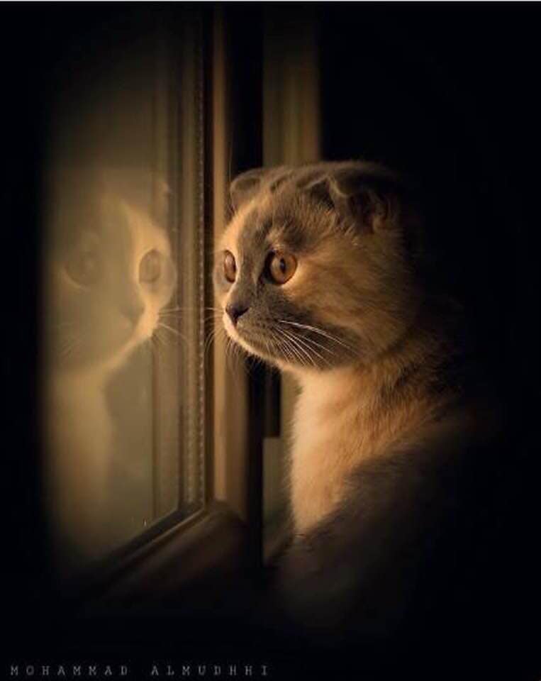 century21mc's tweet image. Miradas.

#ArtandExpression