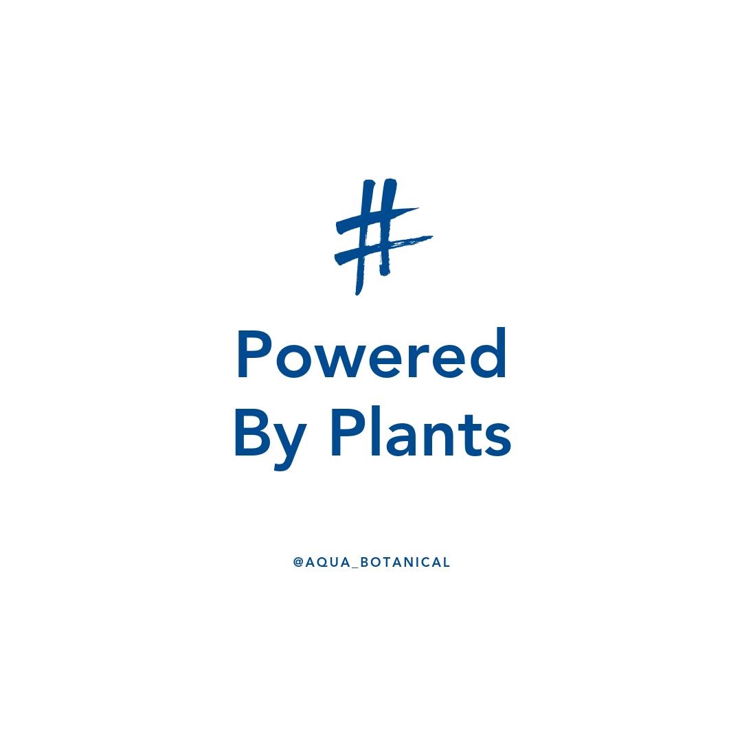 AquaBotanical tweet media