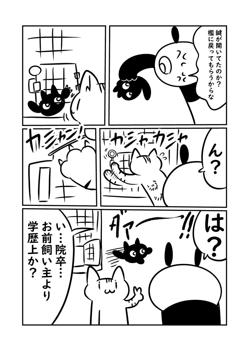 子猫が来た話　薫君は本当に猫なんだよな？？？って事件　#ぬら次郎日記 