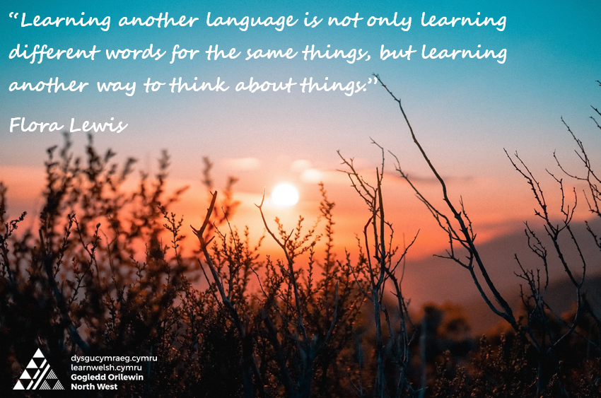 Learn_Cymraeg's tweet photo. Now is the time to start learning Welsh.
Join us this September...
Courses available in #Gwynedd, #Anglesey & #Conwy
Register today https://t.co/7NxKFb3A5M
Isio gwella eich #Cymraeg neu'n nabod rhywun sy isio dechrau dysgu? #LearnWelsh #WelshClasses https://t.co/Z1rUarX1ye