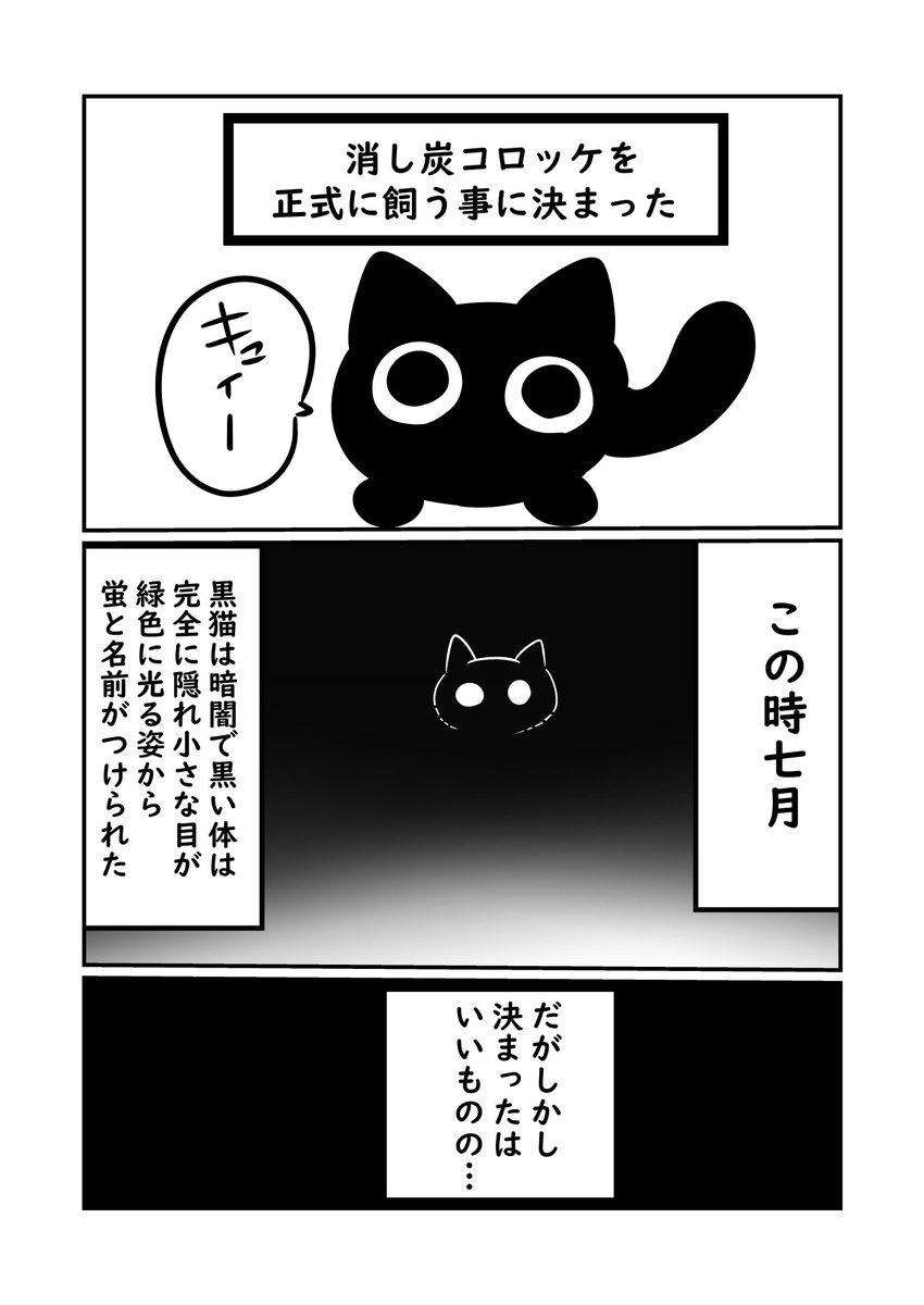 子猫が来た話　薫君は本当に猫なんだよな？？？って事件　#ぬら次郎日記 