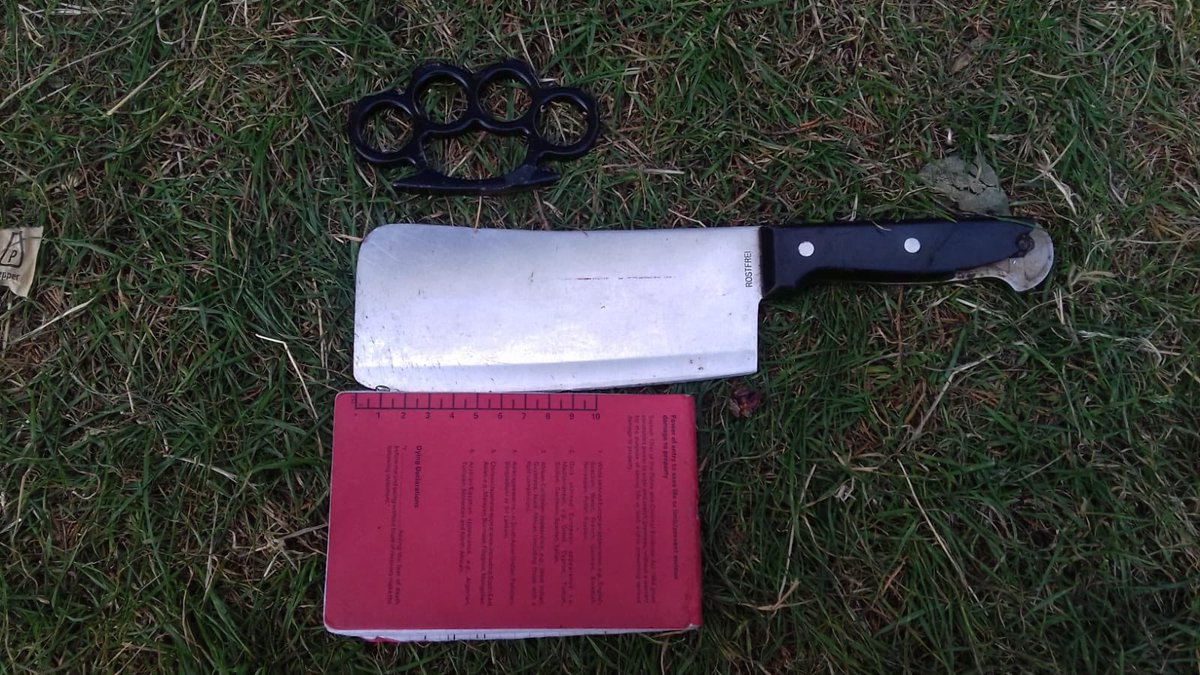 MPSRedbridge's tweet image. PCSO’s from Redbridge Safer Transport Team we’re conducting weapons sweep in Valentines Park this morning when they found these  weapons #MPSRTPC 6238T