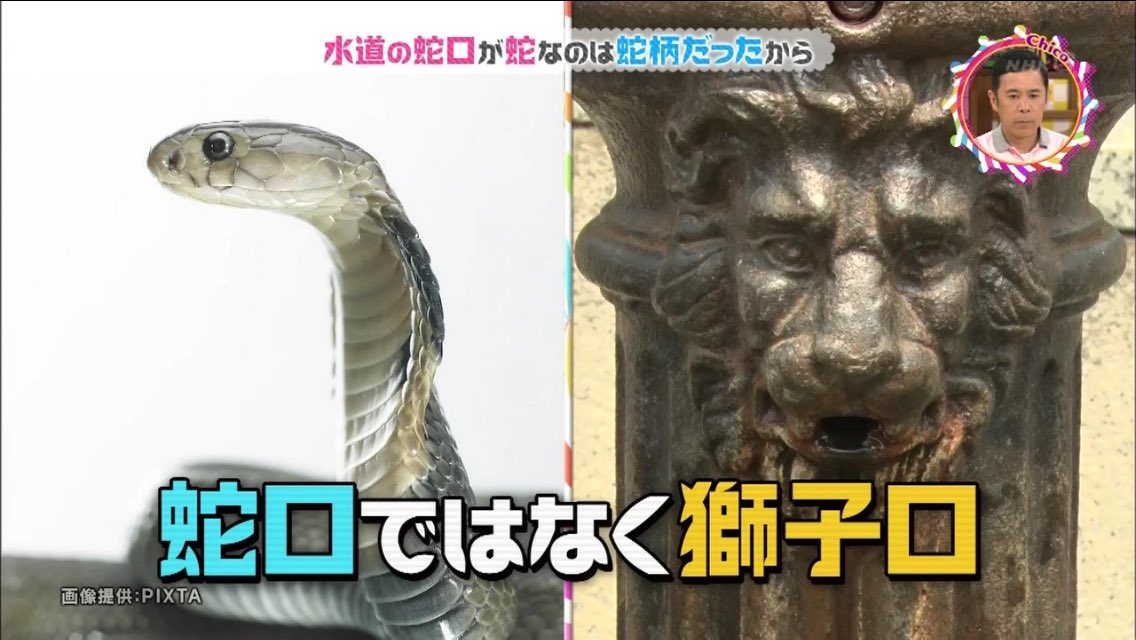 探し物をしているとき独り言を言うのはなぜ 独り言が脳に起こす不思議な効果とは チコちゃんに叱られる 2ページ目 Togetter
