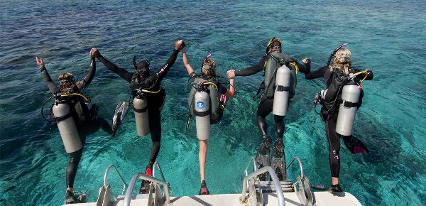 Bu Cumartesi günü (31 Ağustos) Temel Seviye Kursumuz Başlıyor 🐬💦 - mailchi.mp/fd29fea1b36d/b…